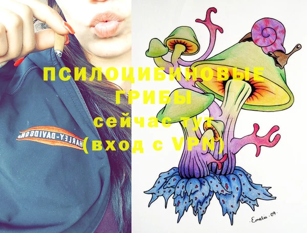 не бодяженный Медногорск