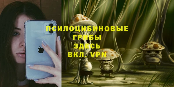 не бодяженный Медногорск