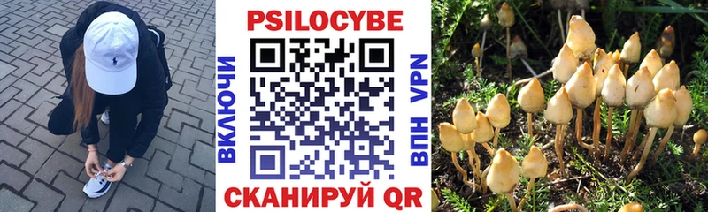 мориарти наркотические препараты  Уфа  Галлюциногенные грибы Psilocybe  закладка 
